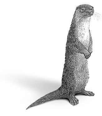 otter